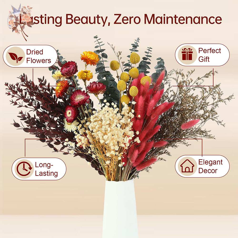 다양한 종류의 드라이 플라워 7종 세트, 자연스러운 유 - Florist Supply Bulk 리뷰 및 가격
